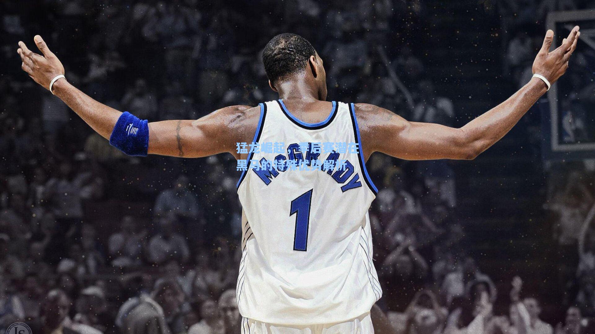 猛龙崛起,季后赛潜在黑马的特殊优势解析