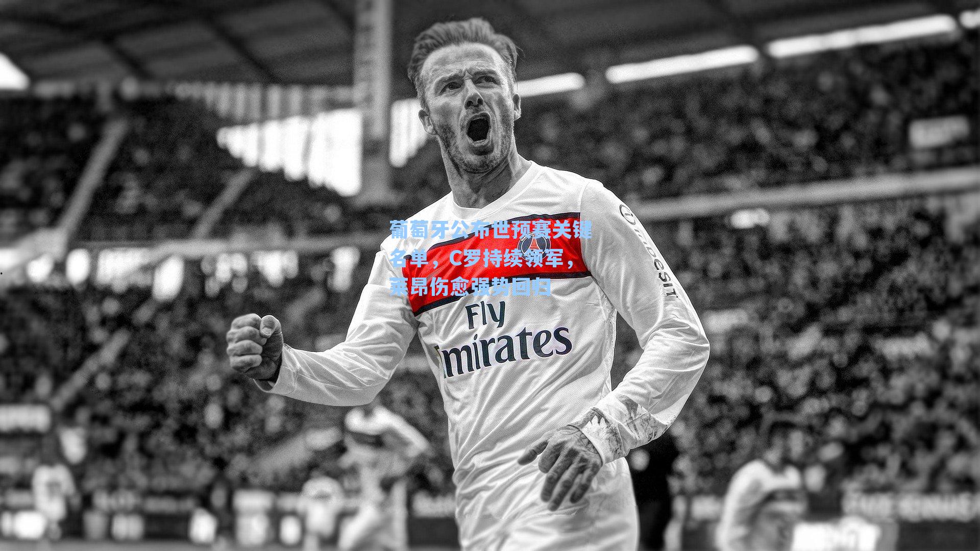 葡萄牙公布世预赛关键名单，C罗持续领军，莱昂伤愈强势回归